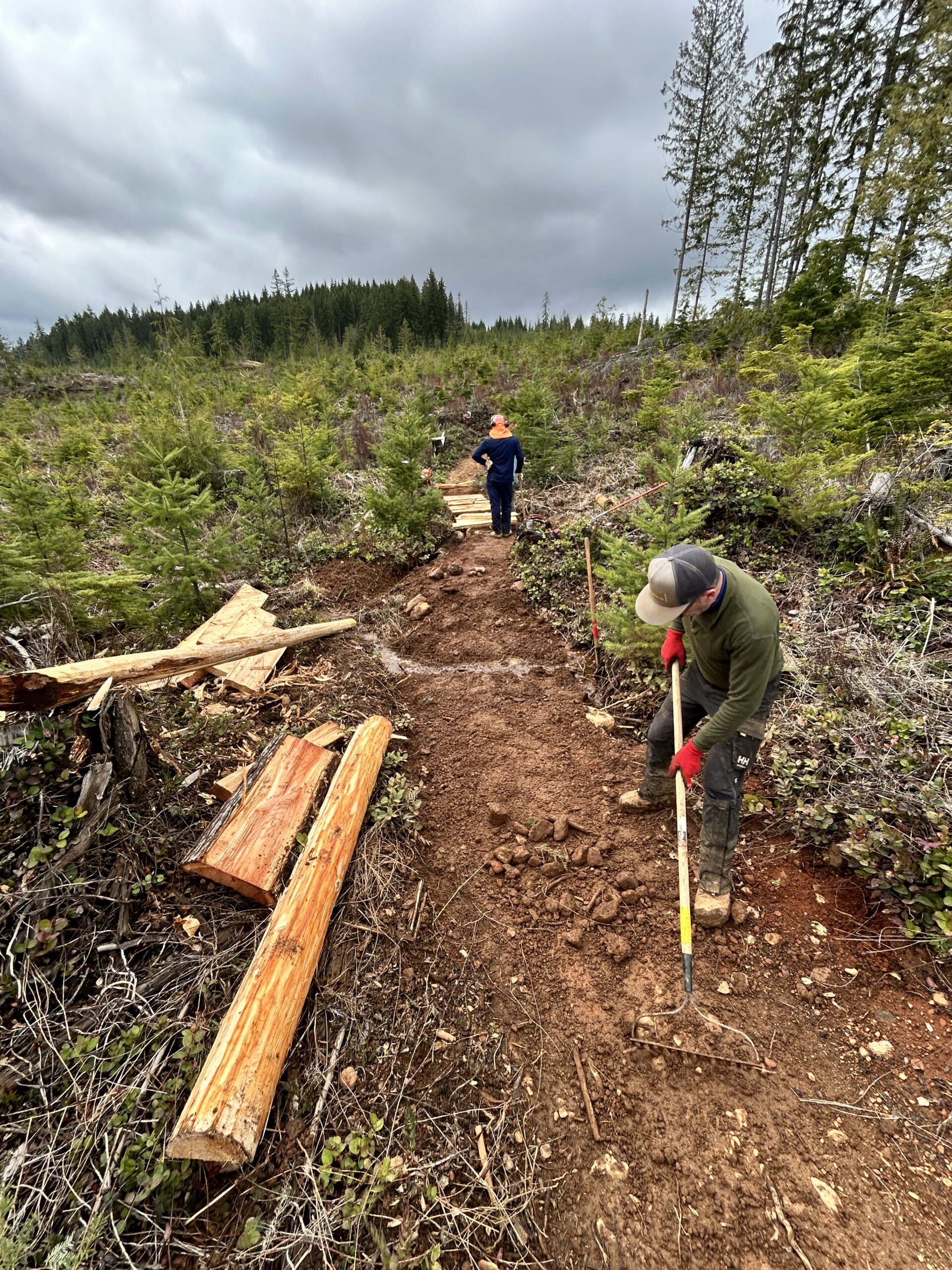 New Bridgework on Funky Vanilla – April 2025