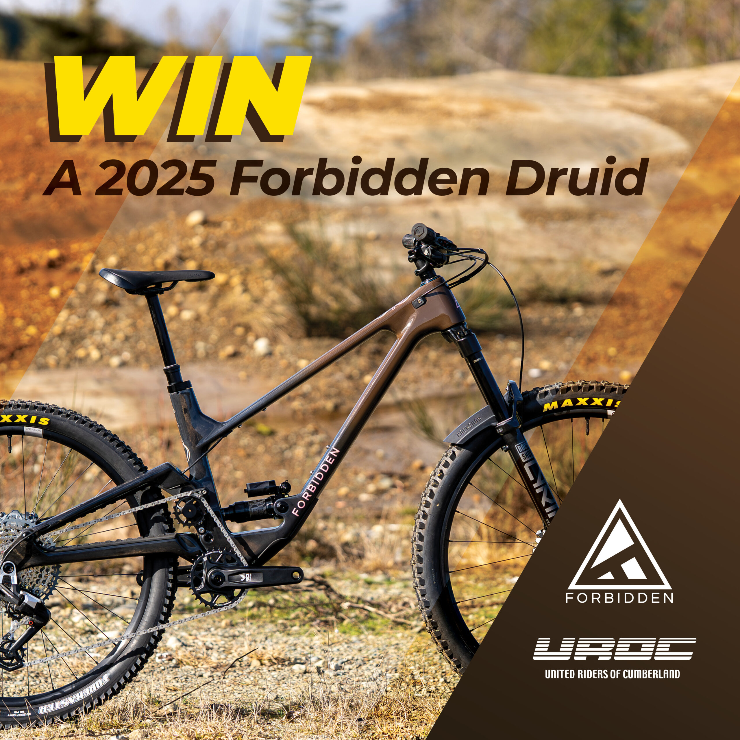 Win a Forbidden Druid