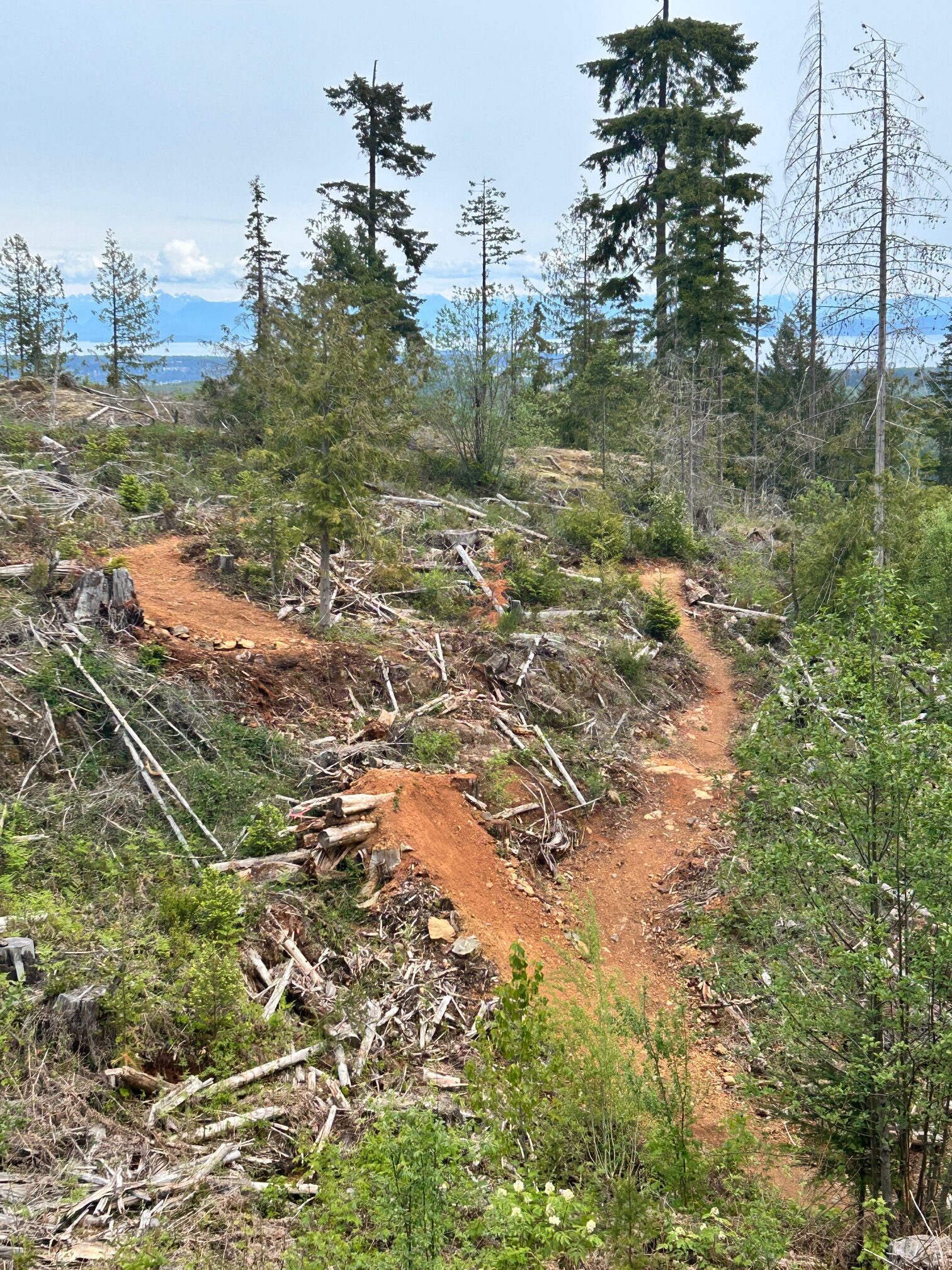 Prohibition Clean up – May 2025