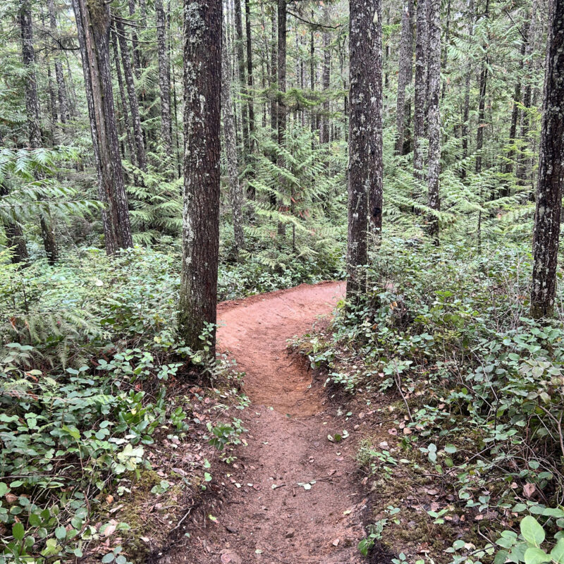 Trail Day with MNP Accounting