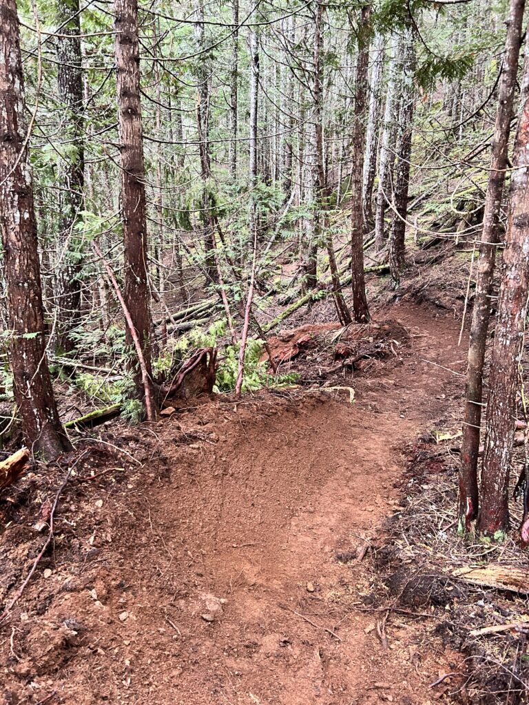 Dirt Luge, The EPIC 979, Cumberland, BC
