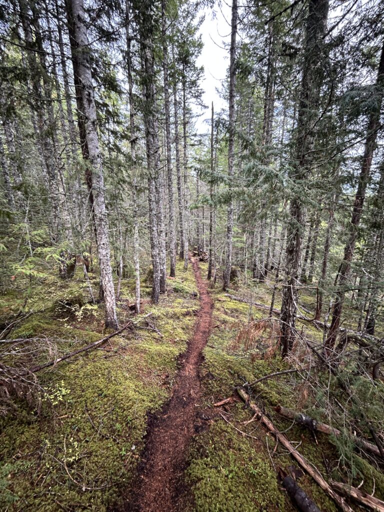 Skinny Lane, The EPIC 979, Cumberland, BC